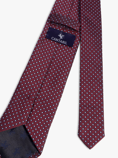Cantabil Men's Maroon Dotted Printed Broad Tie