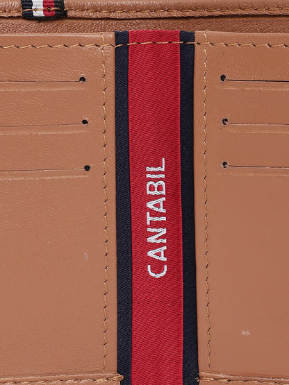 Men Tan Wallet