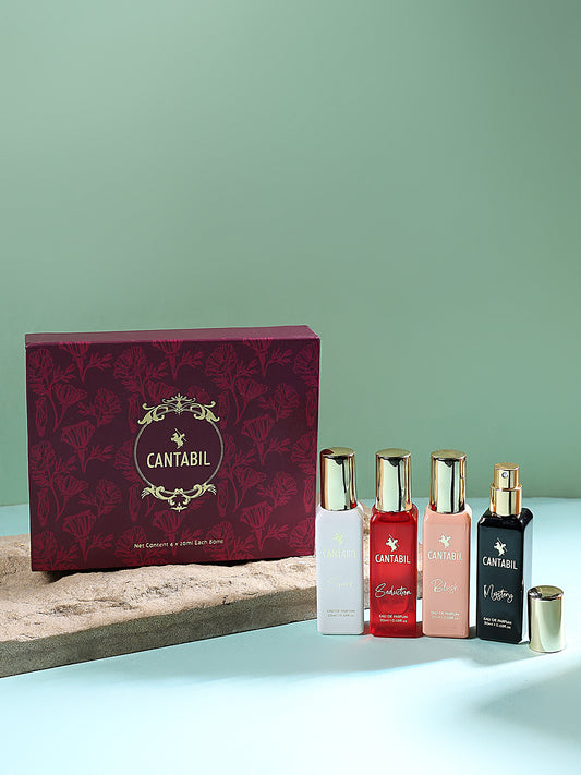 Cantabil Luxury Long Lasting Perfume Gift Set for Men & Women | Pack of 4 x 20ml Each | Mystery, Blush, Seduction & Spark Premium Eau De Parfum Fragrances