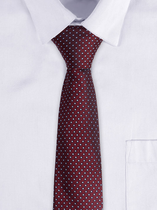 Cantabil Men's Maroon Dotted Printed Broad Tie