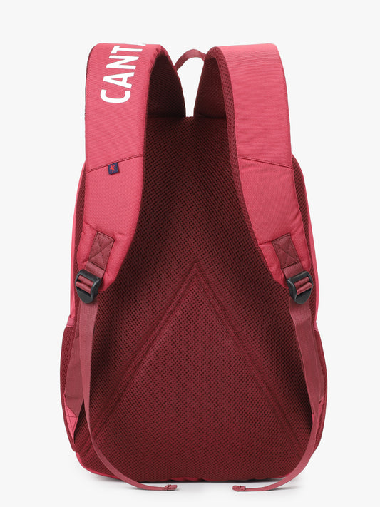 Cantabil Unisex Striped laptop Bagpack