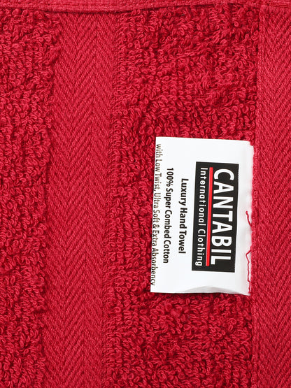Unisex Red Basic Terry Hand Towel -Pack of Two