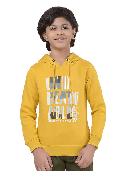 Casual Sweatshirt for Boys l Breathable & Soft with Color Fastness Regular Fit Hooded Neck Fleece Fabric Printed Pattern