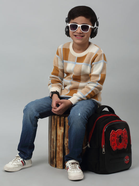 Boys Casual Brown Full Sleeve Pullover Sweater