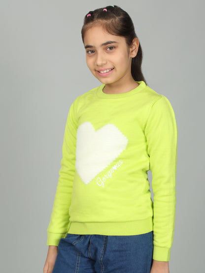 Girls Casual Self Design Green Full Sleeves Sweater