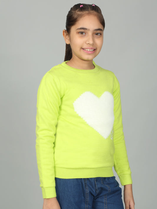 Girls Casual Self Design Green Full Sleeves Sweater