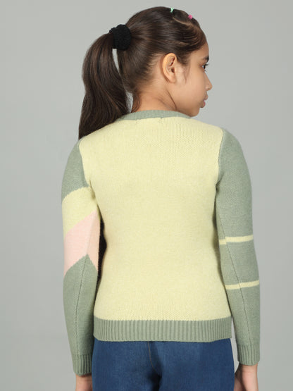 Girls Casual Self Design Green Full Sleeves Sweater