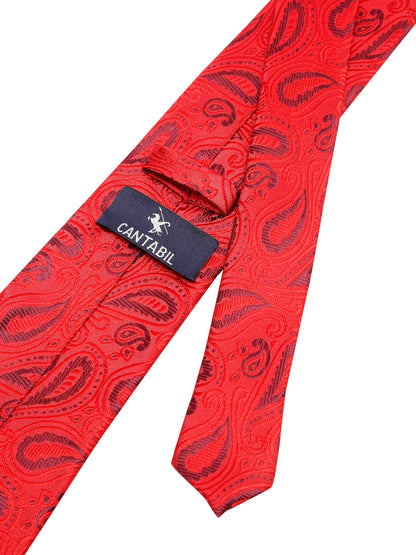 Men's Red Fashion Paisley Pattern Tie Set