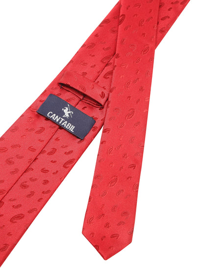 Men's Red Fashion Paisley Pattern Tie Set