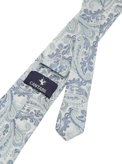 Men's Grey Fashion Paisley Pattern Tie Set