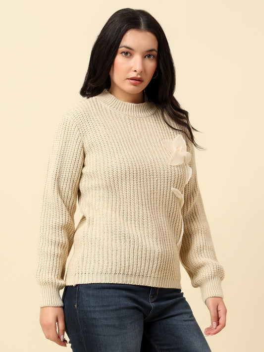 Sweater for Women | Winter Wear Fancy Fabric Round Neck Regular Fit Solid Pattern