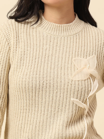 Sweater for Women | Winter Wear Fancy Fabric Round Neck Regular Fit Solid Pattern