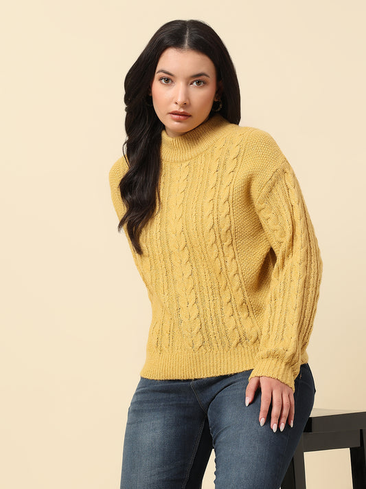 Sweater for Women | Winter Wear Knitted Fabric Round Neck Regular Fit Self Design Pattern