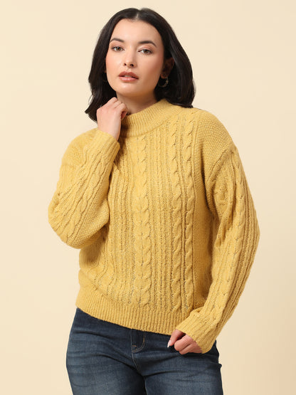 Sweater for Women | Winter Wear Knitted Fabric Round Neck Regular Fit Self Design Pattern