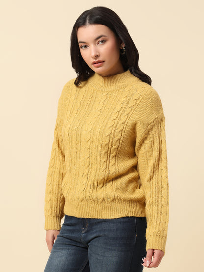 Sweater for Women | Winter Wear Knitted Fabric Round Neck Regular Fit Self Design Pattern