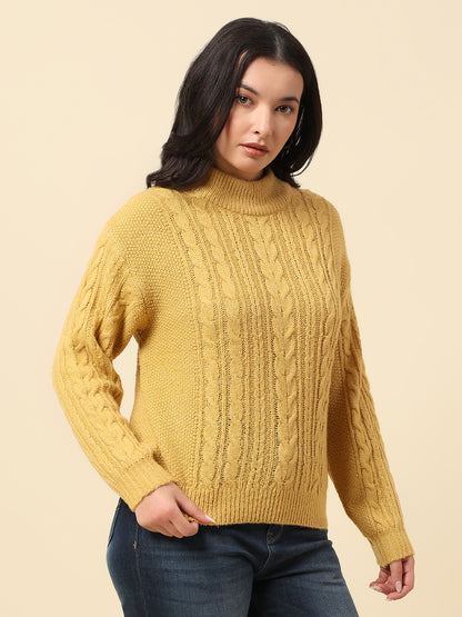 Sweater for Women | Winter Wear Knitted Fabric Round Neck Regular Fit Self Design Pattern