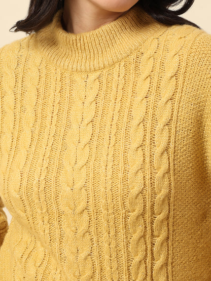 Sweater for Women | Winter Wear Knitted Fabric Round Neck Regular Fit Self Design Pattern