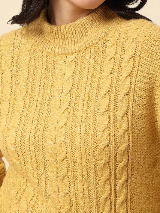 Sweater for Women | Winter Wear Knitted Fabric Round Neck Regular Fit Self Design Pattern