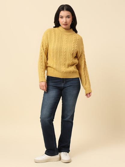 Sweater for Women | Winter Wear Knitted Fabric Round Neck Regular Fit Self Design Pattern
