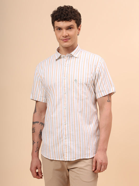 Men's Multi Slim Fit Striped Half Sleeve Casual Shirt