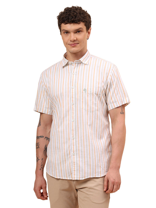 Men's Multi Slim Fit Striped Half Sleeve Casual Shirt