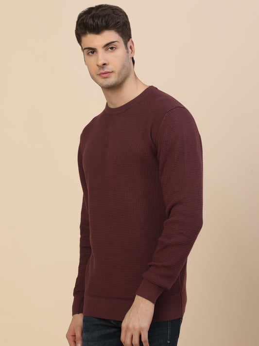 Sweater for Men | Winter Wear Cotton Fabric Pull-On Closure Round Neck Regular Fit Self Design Pattern