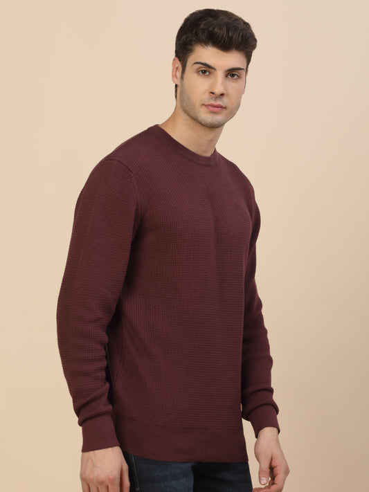 Sweater for Men | Winter Wear Cotton Fabric Pull-On Closure Round Neck Regular Fit Self Design Pattern
