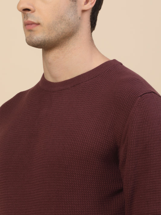 Sweater for Men | Winter Wear Cotton Fabric Pull-On Closure Round Neck Regular Fit Self Design Pattern