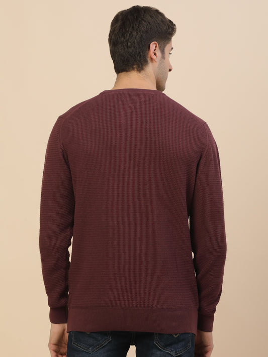 Sweater for Men | Winter Wear Cotton Fabric Pull-On Closure Round Neck Regular Fit Self Design Pattern