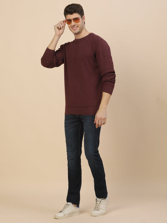 Sweater for Men | Winter Wear Cotton Fabric Pull-On Closure Round Neck Regular Fit Self Design Pattern