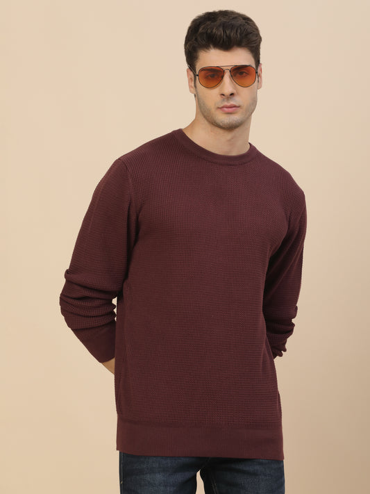 Sweater for Men | Winter Wear Cotton Fabric Pull-On Closure Round Neck Regular Fit Self Design Pattern