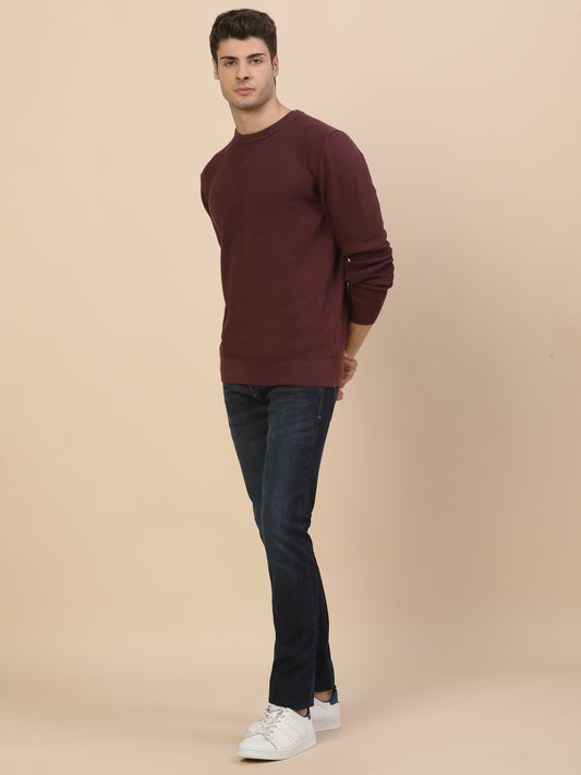 Sweater for Men | Winter Wear Cotton Fabric Pull-On Closure Round Neck Regular Fit Self Design Pattern
