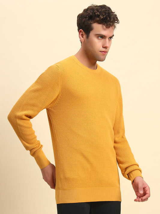 Sweater for Men | Winter Wear Cotton Fabric Pull-On Closure Round Neck Regular Fit Self Design Pattern