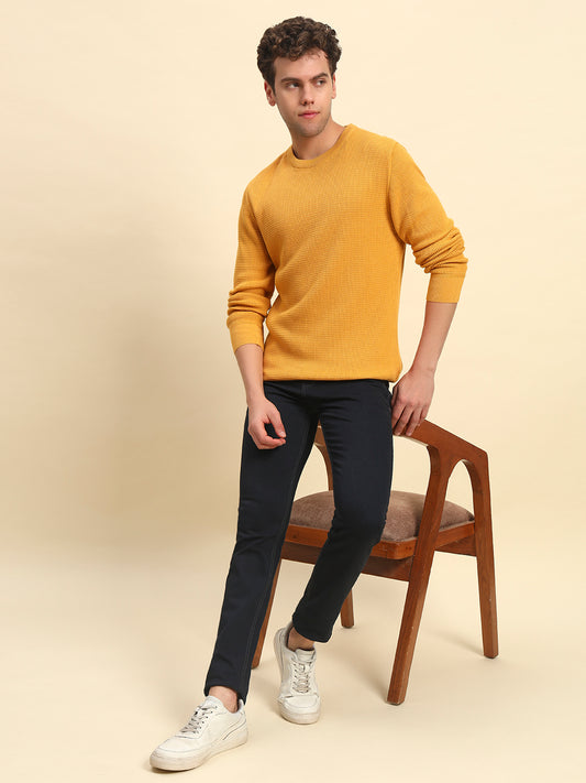 Sweater for Men | Winter Wear Cotton Fabric Pull-On Closure Round Neck Regular Fit Self Design Pattern