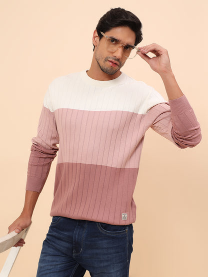 Sweater for Men | Winter Wear Cotton Fabric Pull-On Closure Round Neck Regular Fit Striped Pattern