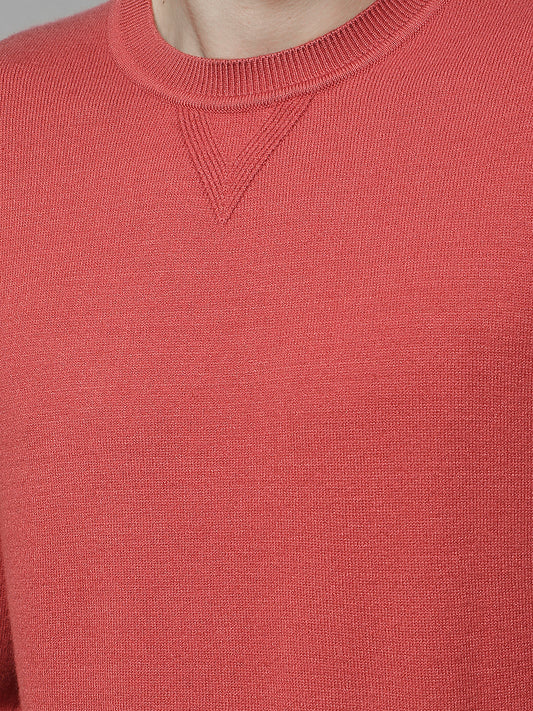 Sweater for Men | Winter Wear Fancy Fabric Pull-On Closure Round Neck Regular Fit Solid Pattern