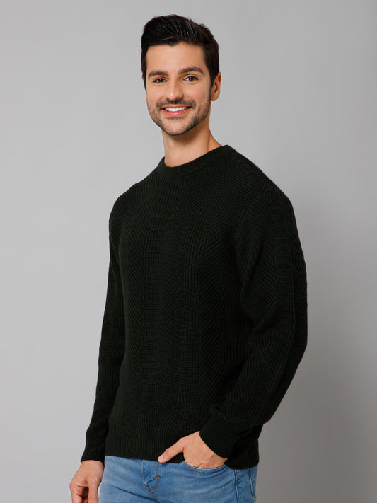 Self Design Olive Full Sleeves Round Neck Regular Fit Casual Sweater for Men