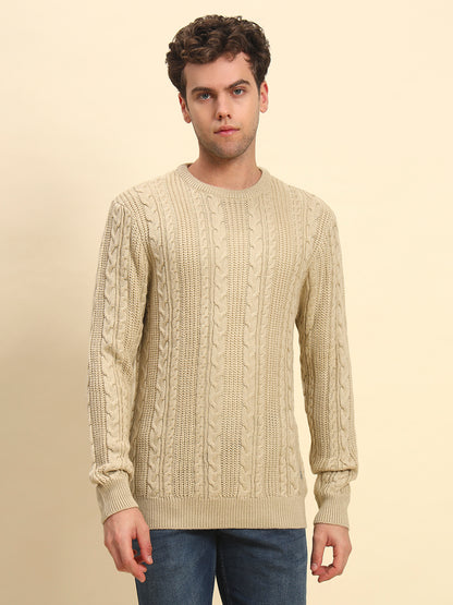 Sweater for Men | Winter Wear Acrylic Fabric Pull-On Closure Round Neck Regular Fit Self Design Pattern