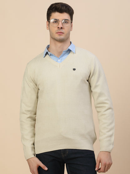 Sweater for Men | Winter Wear Acrylic Fabric Pull-On Closure V-Neck Regular Fit Self Design Pattern