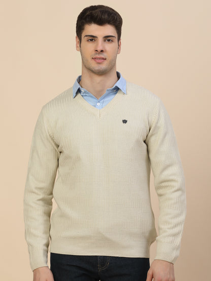 Sweater for Men | Winter Wear Acrylic Fabric Pull-On Closure V-Neck Regular Fit Self Design Pattern