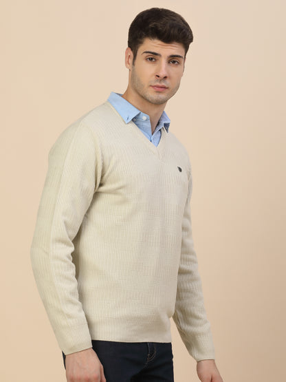 Sweater for Men | Winter Wear Acrylic Fabric Pull-On Closure V-Neck Regular Fit Self Design Pattern