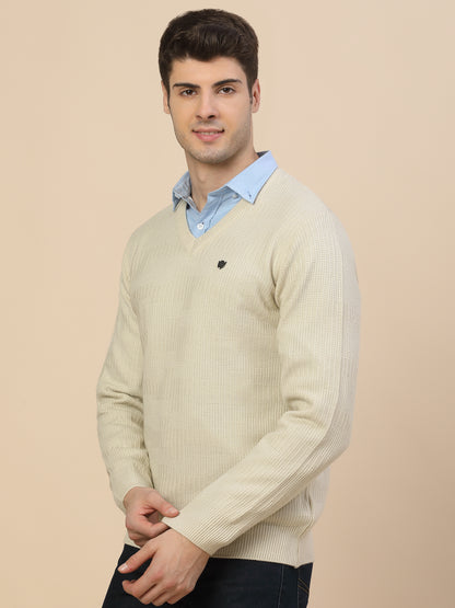 Sweater for Men | Winter Wear Acrylic Fabric Pull-On Closure V-Neck Regular Fit Self Design Pattern