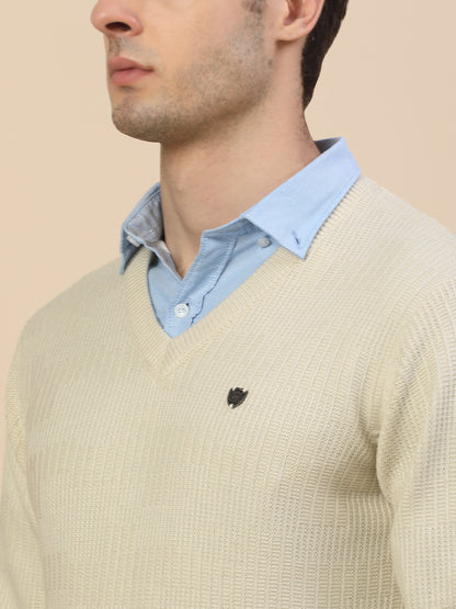 Sweater for Men | Winter Wear Acrylic Fabric Pull-On Closure V-Neck Regular Fit Self Design Pattern