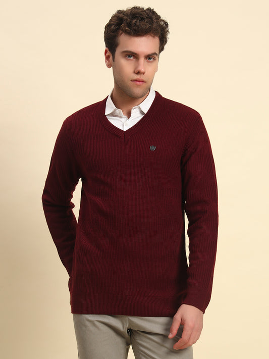 Sweater for Men | Winter Wear Acrylic Fabric Pull-On Closure V-Neck Regular Fit Solid Pattern