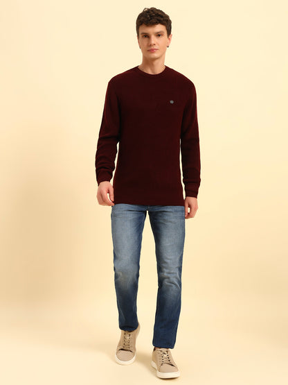 Sweater for Men | Winter Wear Acrylic Fabric Pull-On Closure Round Neck Regular Fit Self Design Pattern