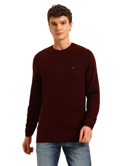 Sweater for Men | Winter Wear Acrylic Fabric Pull-On Closure Round Neck Regular Fit Self Design Pattern