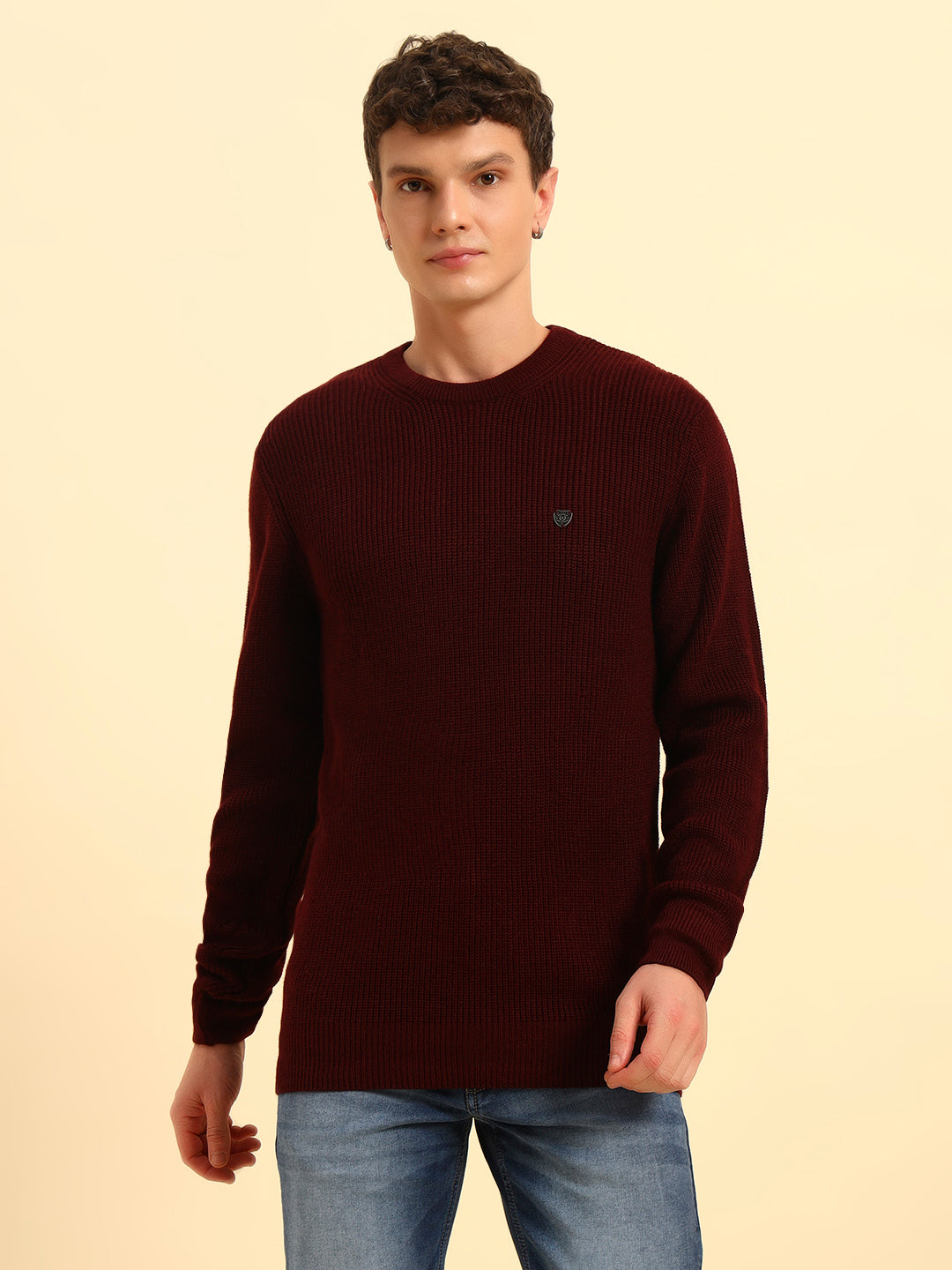 Sweater for Men Winter Wear Acrylic Fabric Pull-On Closure Round Neck Regular Fit Self Design Pattern