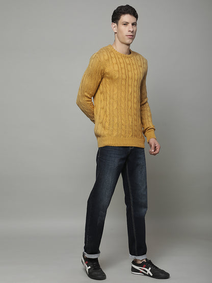 Sweater for Men | Winter Wear Acrylic Fabric Pull-on Closure Round Neck