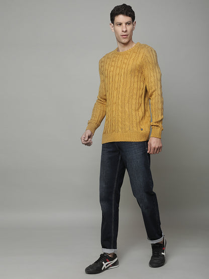 Sweater for Men | Winter Wear Acrylic Fabric Pull-on Closure Round Neck