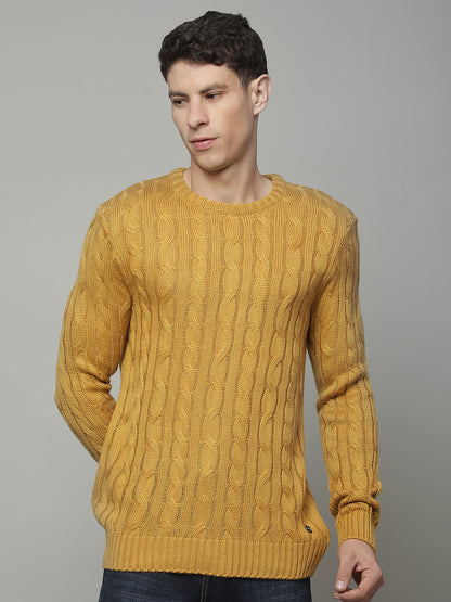 Sweater for Men | Winter Wear Acrylic Fabric Pull-on Closure Round Neck